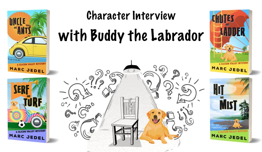 Buddy the Labrador under interrogation spotlight