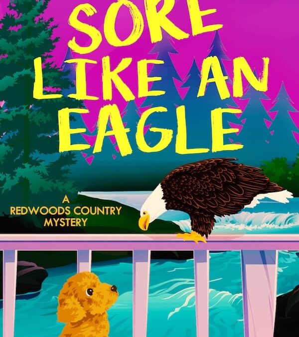 Sore Like an Eagle ebook cover image